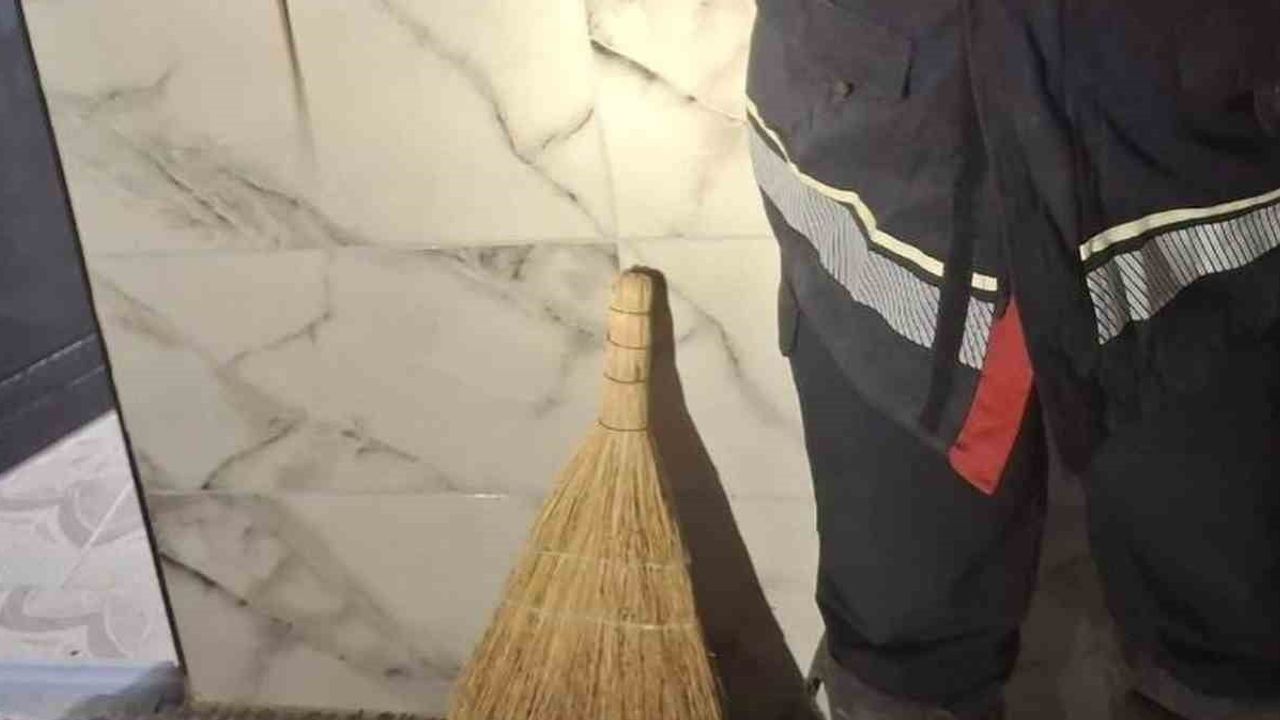 Yerleşimlerde görülen yılanlar zarar verilmeden doğaya bırakıldı