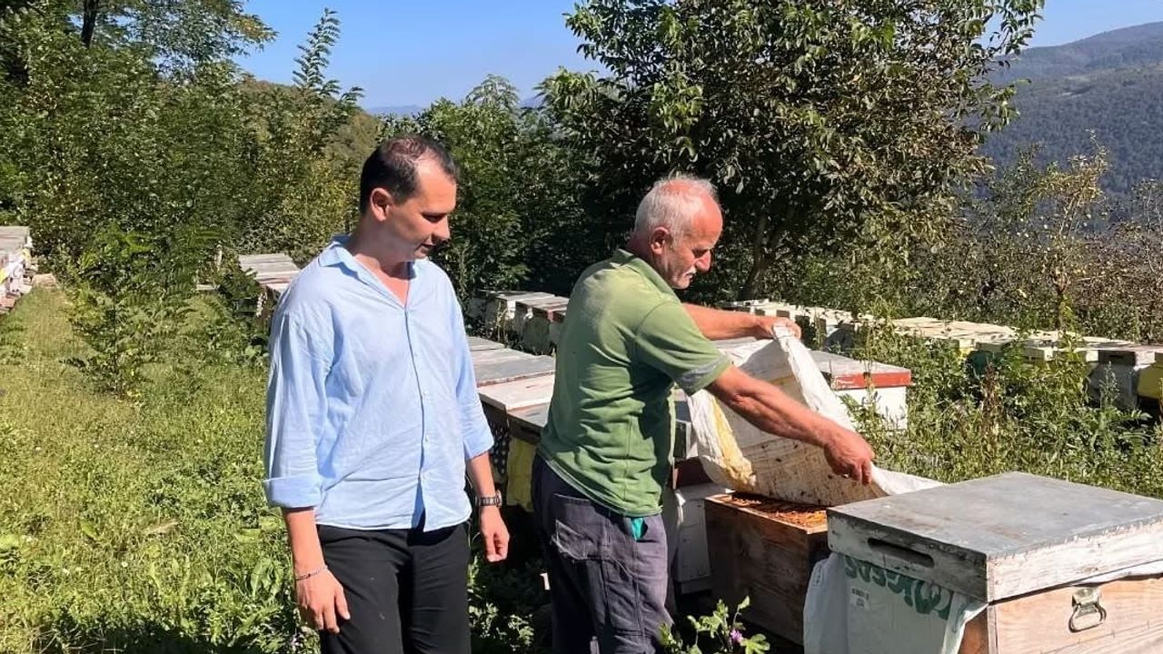 Yığılca'da kayıt hedefli kovan envanteri başlatıldı