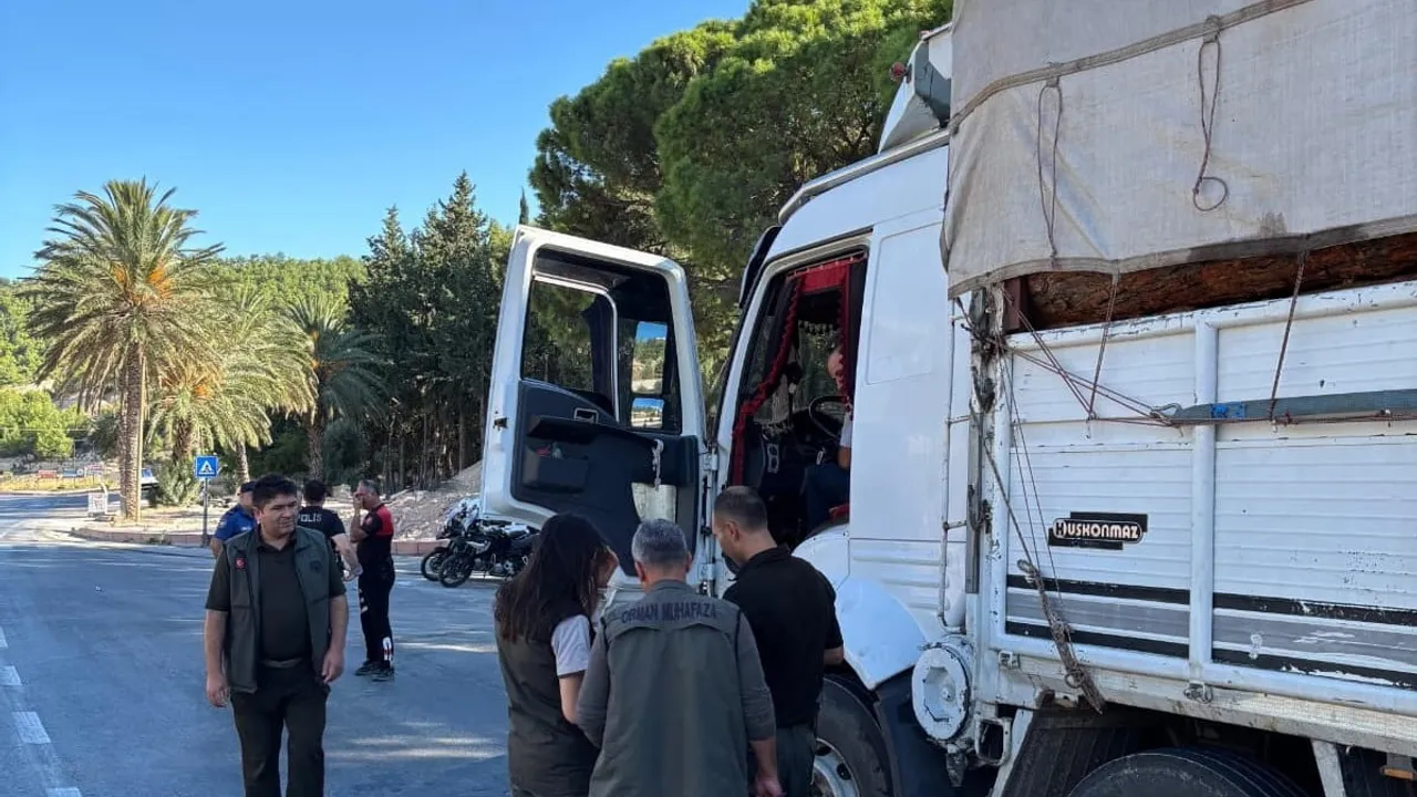 yollarda orman nöbeti: silifke'de emval ve sevk kontrolleri