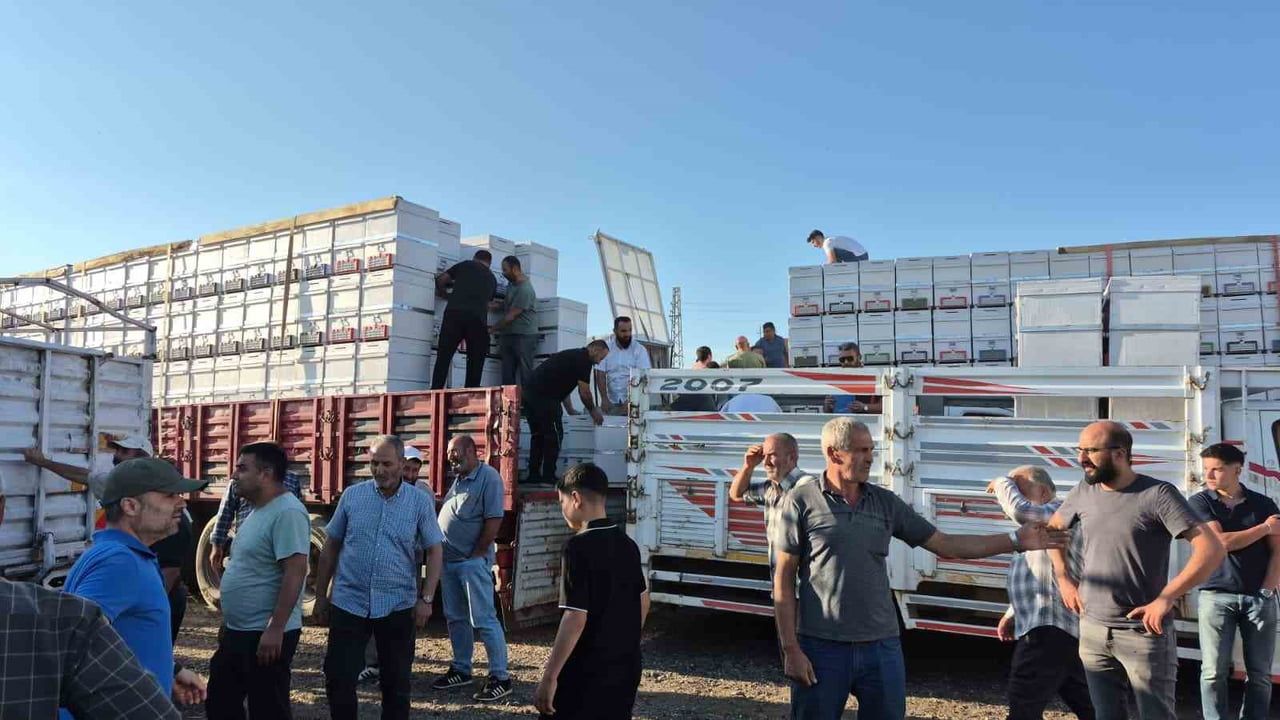 Yozgat'ta arıcılığa yatırım: yüzde 50 hibe ile bin 500 polen tuzaklı kovan dağıtıldı