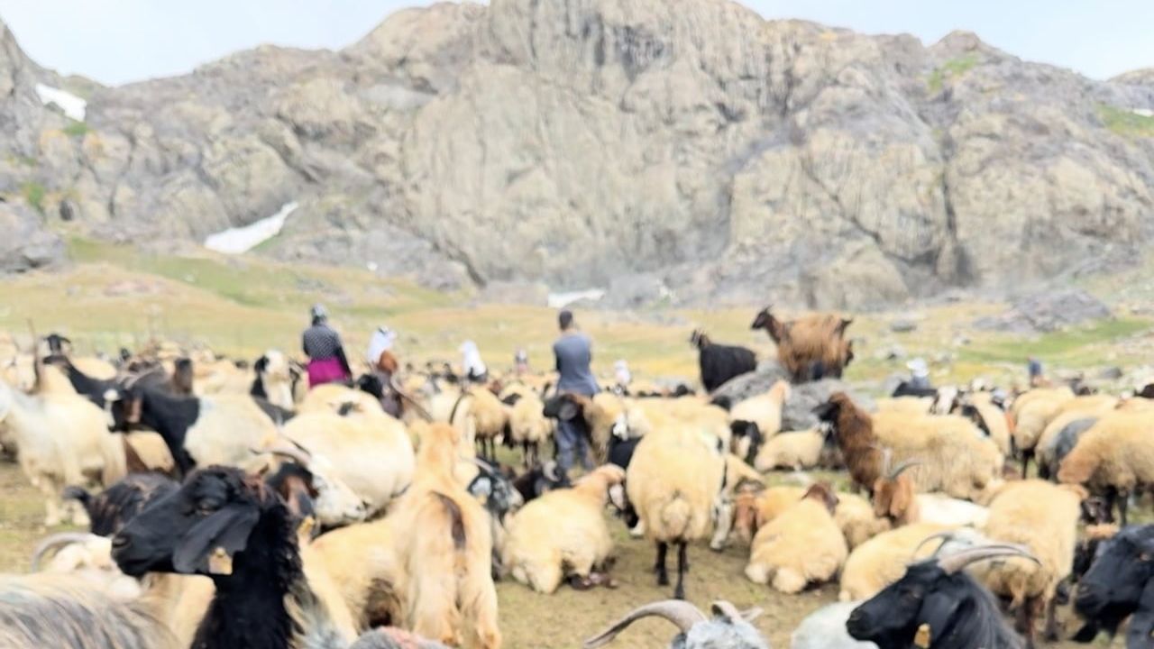 Yüksekova'dan doğaya yürüyüş: 22 doğasever 3 bin 500 rakımlı Sat Gölleri'ni gezdi