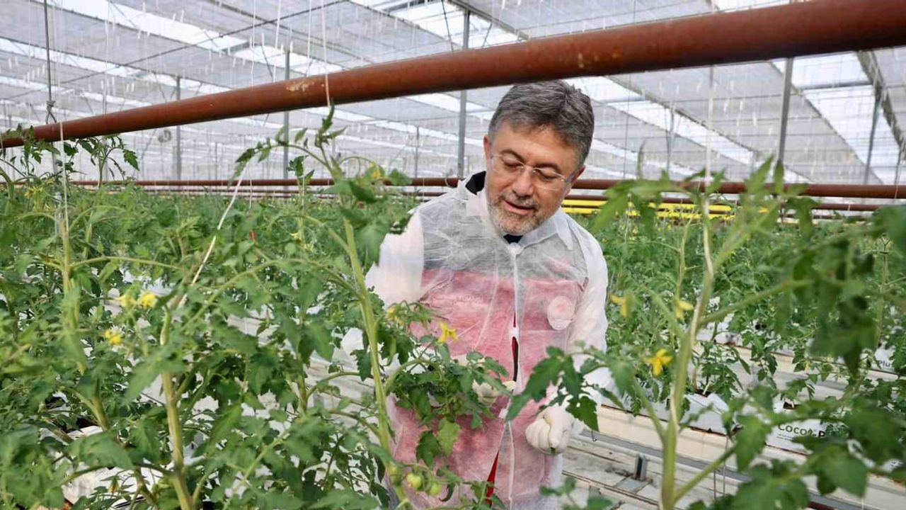 Yumaklı'dan Erzincan'da jeotermal sera vurgusu