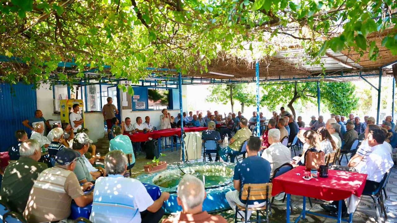 Zeytini üretenden sofraya taşıyacak yeni pazar alanı geliyor
