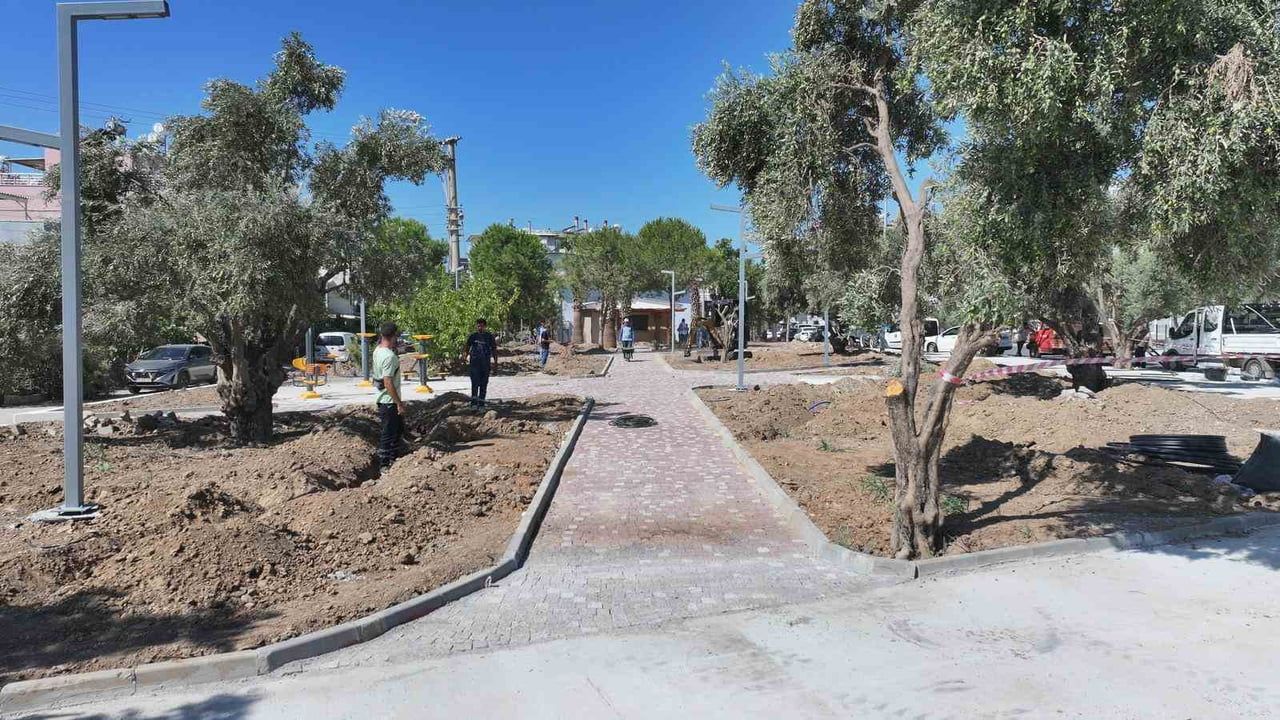 Zeytinlerle örülü bir buluşma alanı: Didim’in yeni parkı kent dokusunu güçlendiriyor