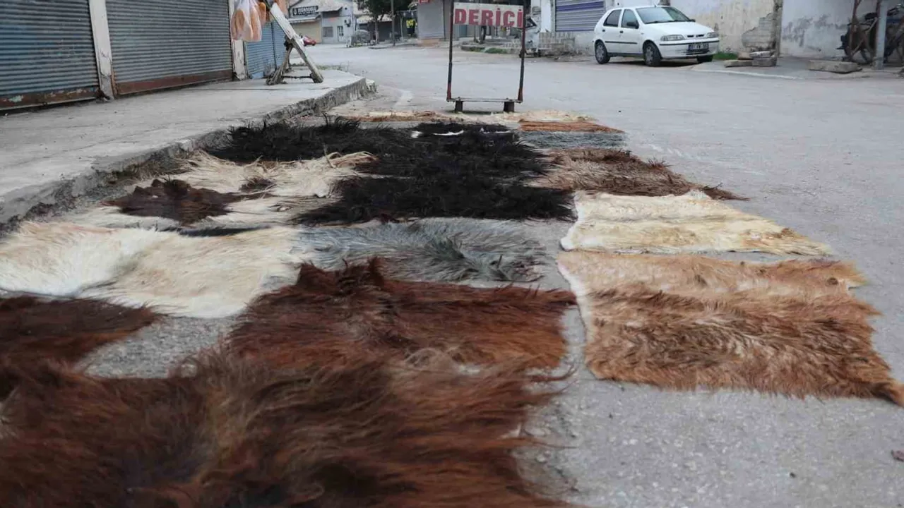 Adana'da 16 metrekarelik dükkânda peynir tulumunu elle yaşatan iki kardeş