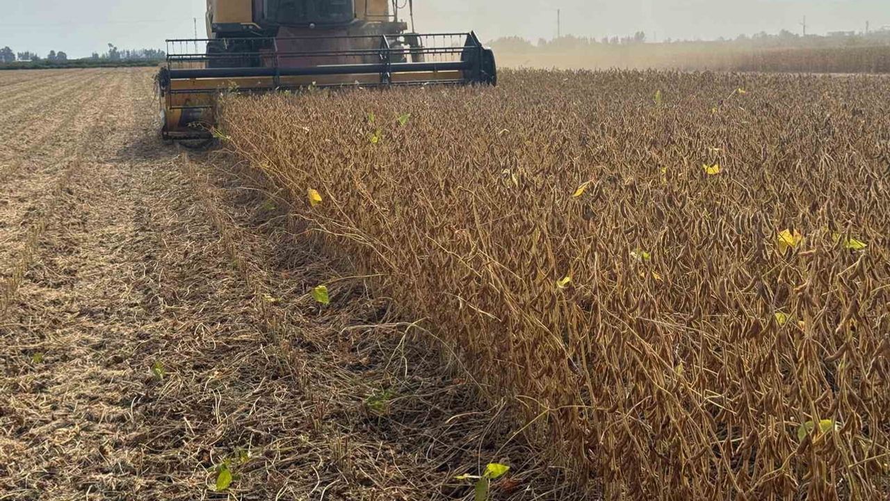 Adana'da soya hasadında biçerdöver ücretleri denge gözetilerek belirlendi