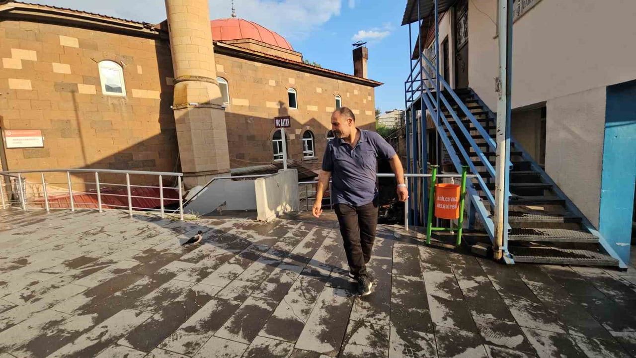 Adilcevaz’da kasap ile karga arasında beklenmedik bağ