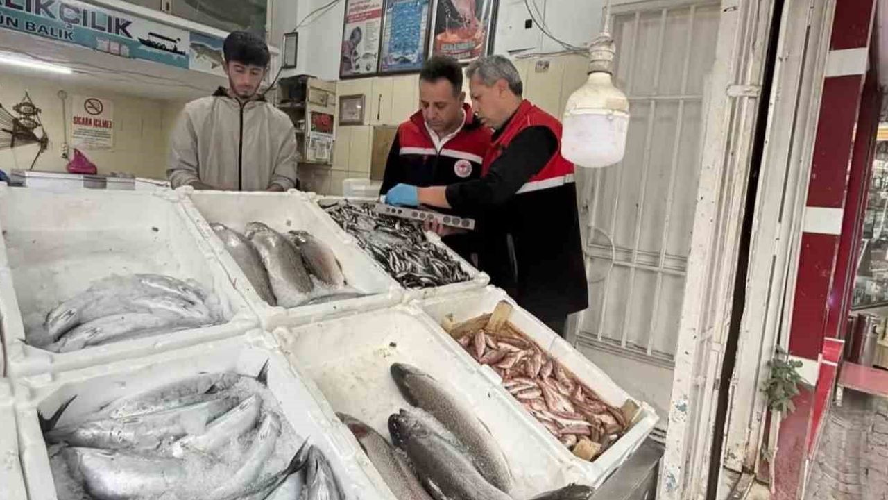 Adıyaman’da su ürünlerinde tazelik ve etiket denetimi yoğunlaştı