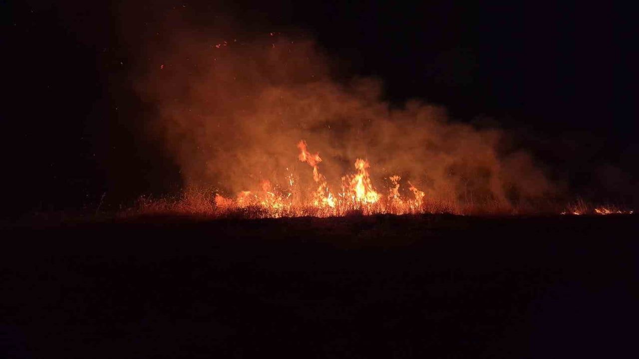 Adıyaman-Kahta kara yolunda anız yangını ağaçlara zarar verdi