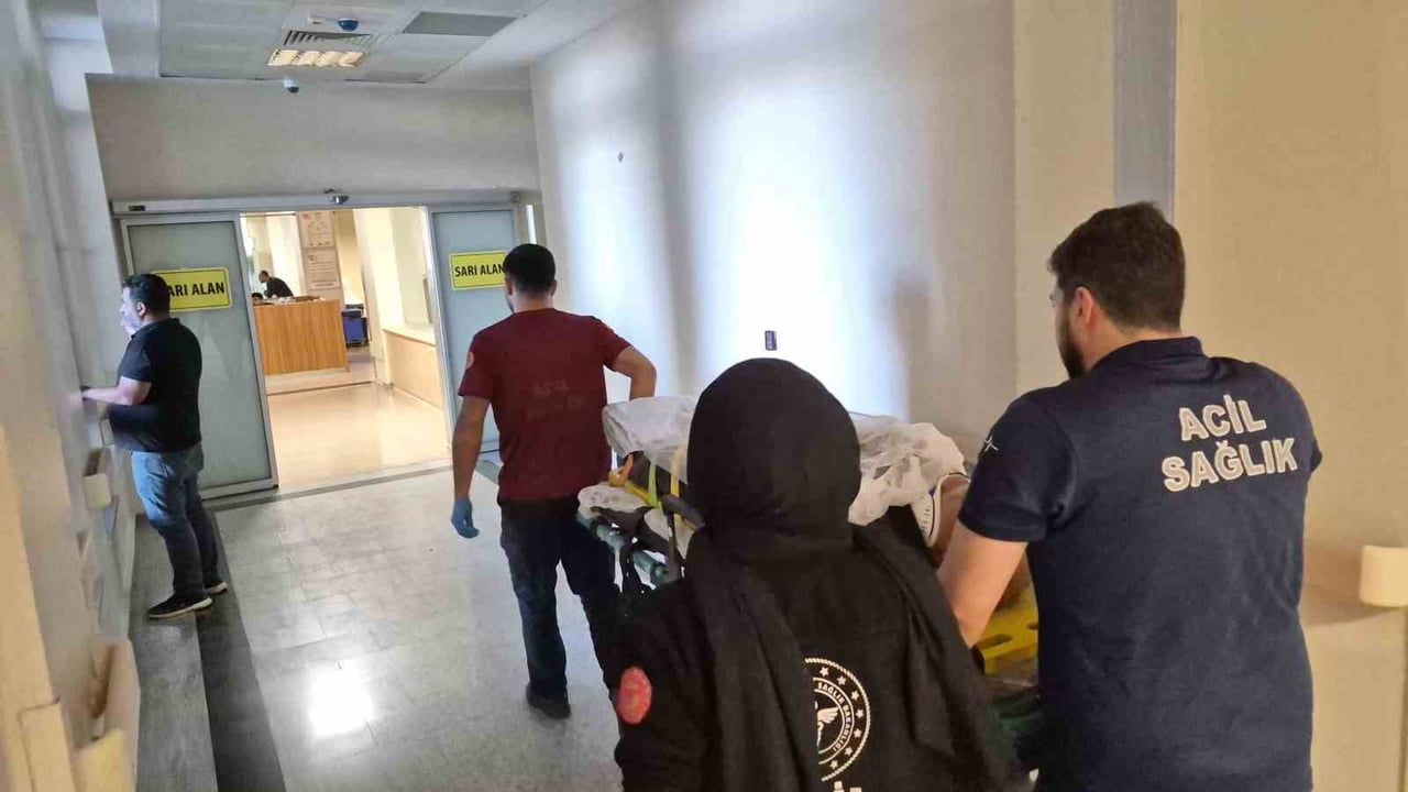 Ağaç budama işi ters gitti: Adıyaman'da 70 yaşındaki kişi yaralandı