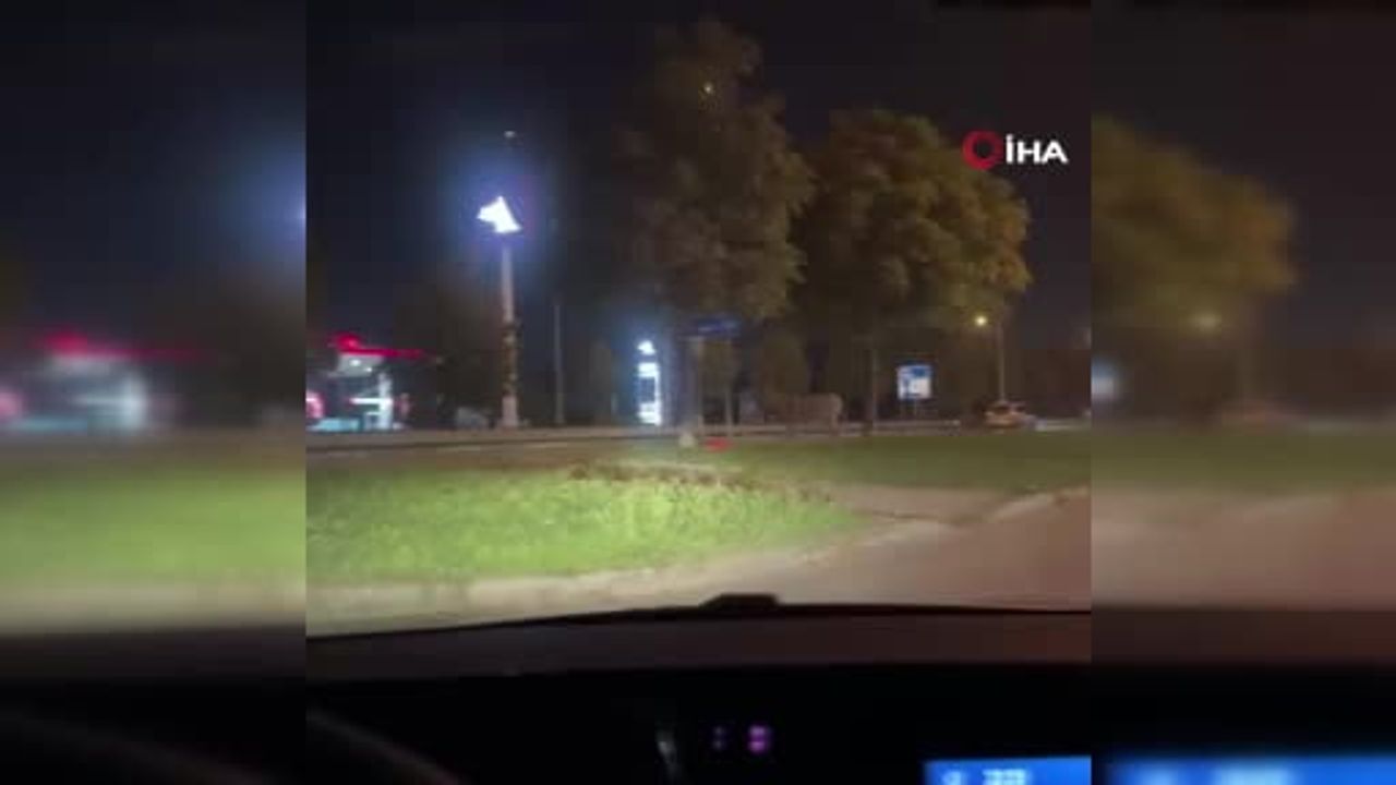 Ağaca bağlanan eşek İzmir Yolu'nda cep telefonuna yansıdı