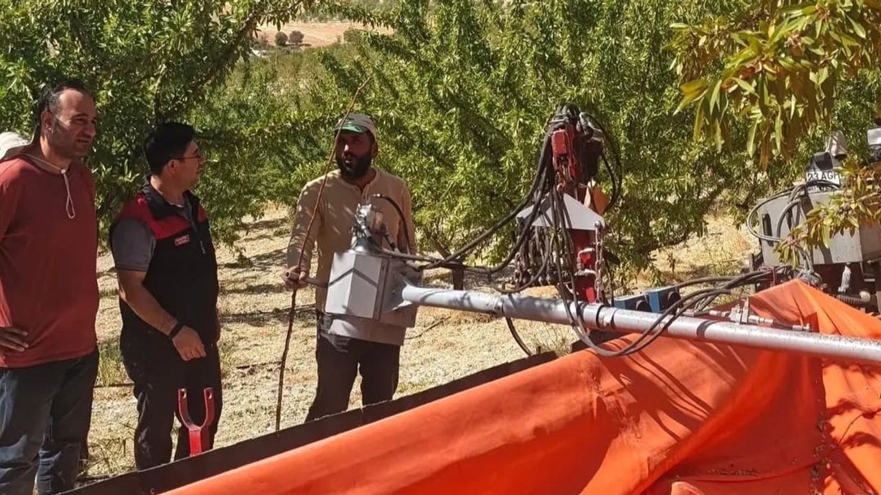Ağın’da badem bahçelerinde hasat öncesi kapsamlı denetim