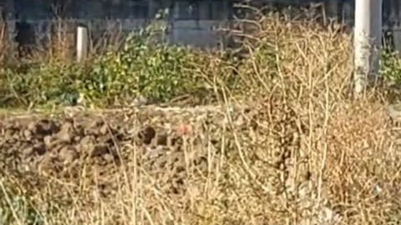 Akaryakıt istasyonunda araç yangını: iki kişi yaralandı