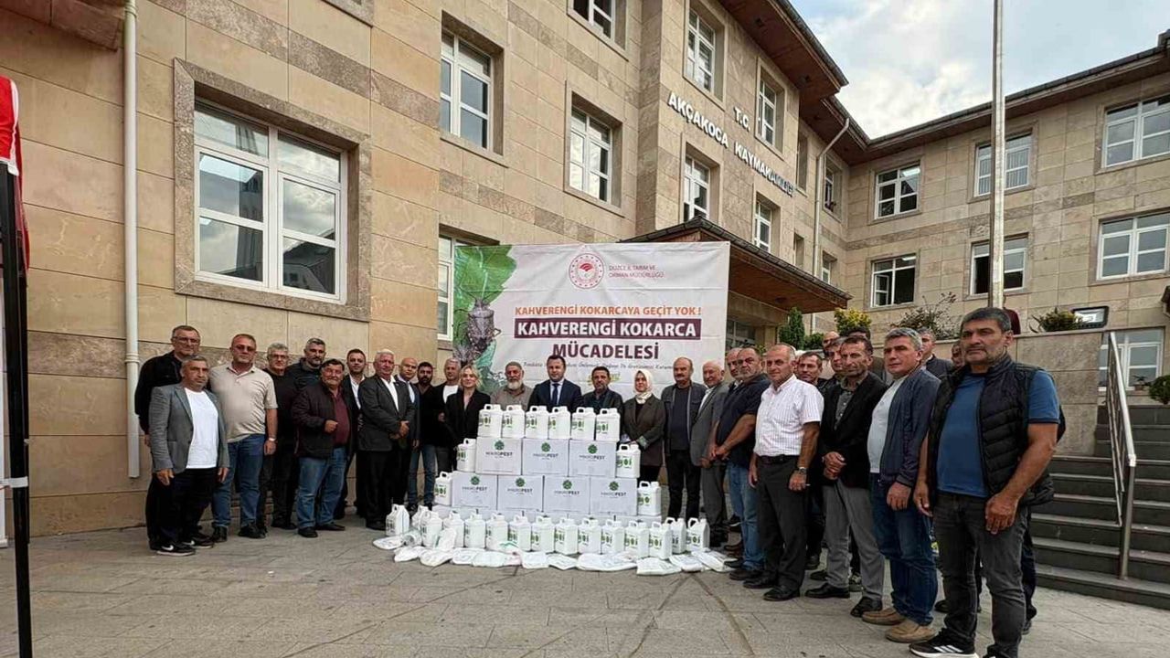 Akçakoca'da muhtarlarla koordineli kahverengi kokarca seferberliği