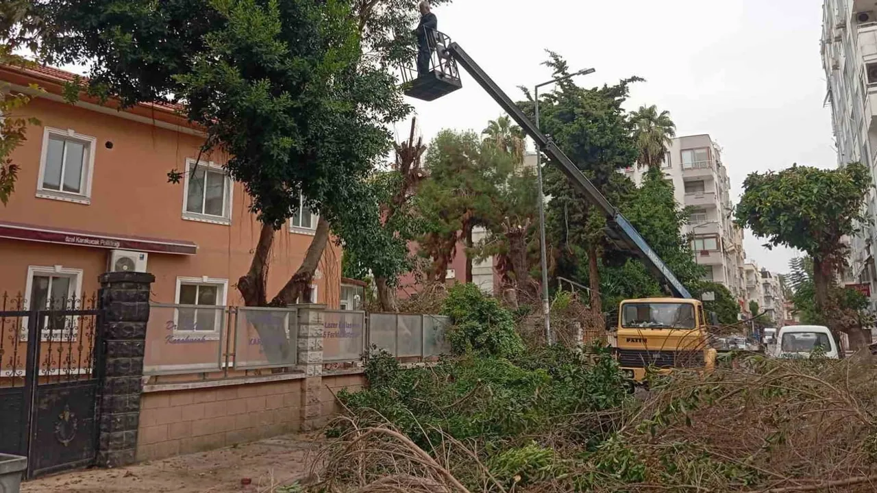 Akdeniz'de ortak yaşam alanları bakım ve yenileme ile canlanıyor
