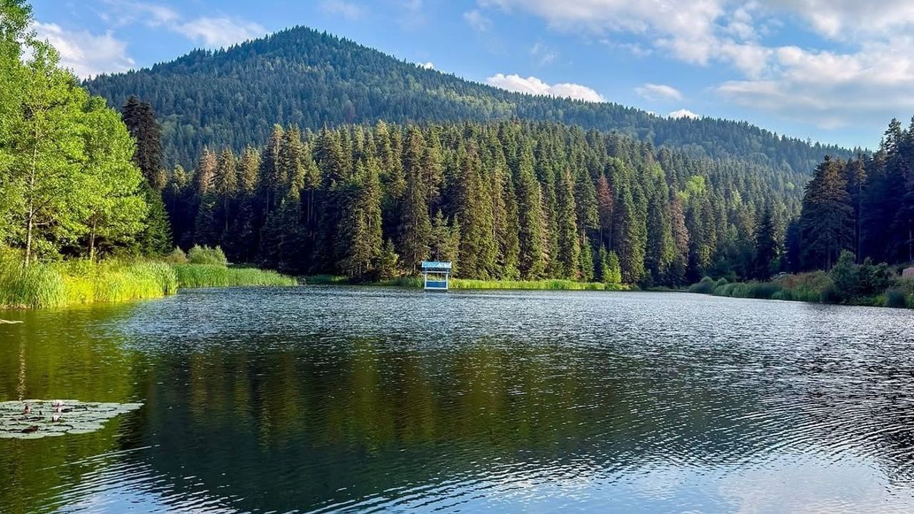 Akgöl’de yaprakların sessiz dansı Sinop’ta sonbahar huzuru