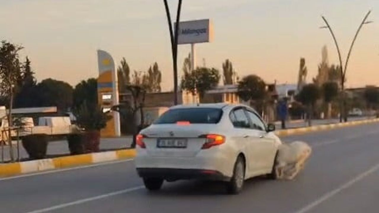 Akhisar'da karayoluna çıkan küçükbaşların karıştığı kazada 3 keçi telef oldu
