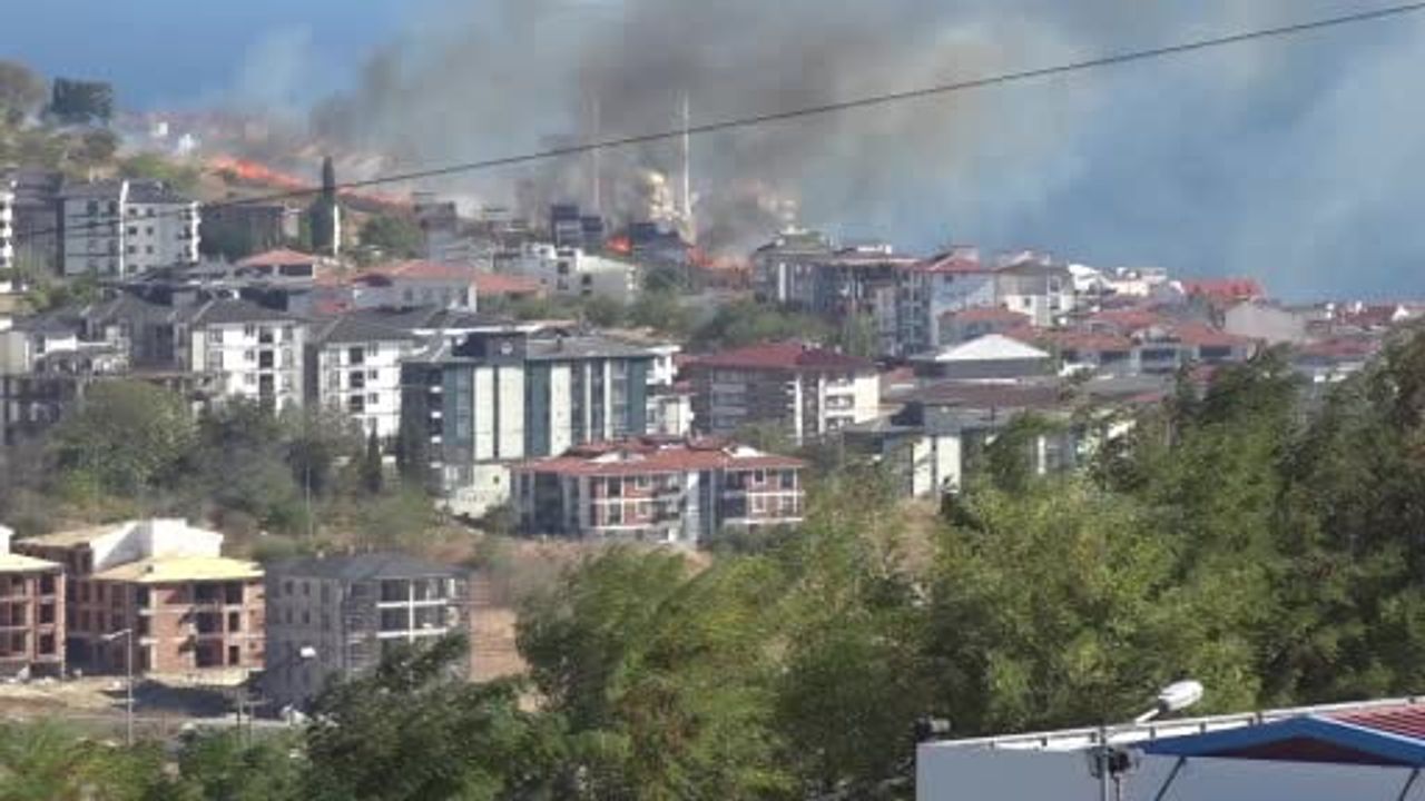 Alevlerden kurtarılan kaplumbağayı gölgeye taşıyan duyarlı müdahale