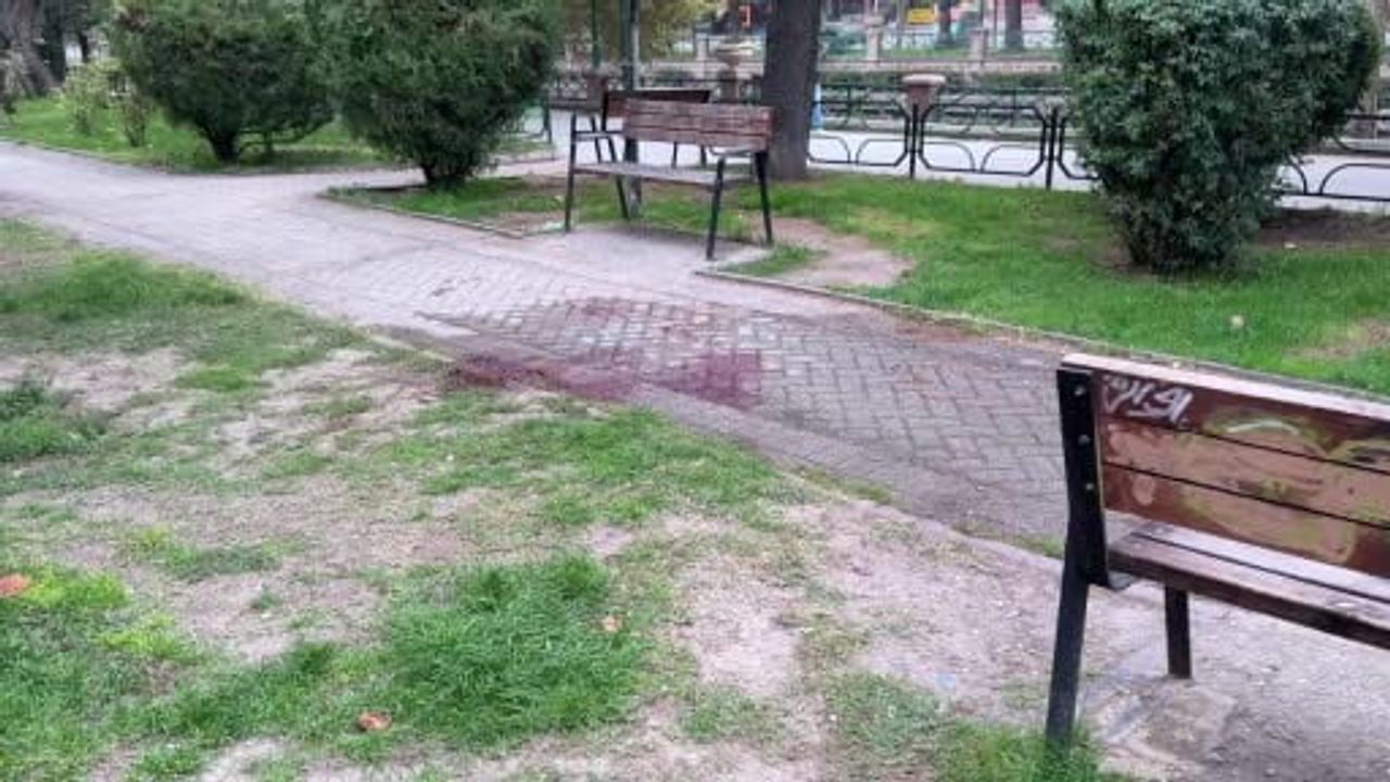 Alkol tartışması sahilde kavgaya dönüştü, şüpheli kısa sürede yakalandı