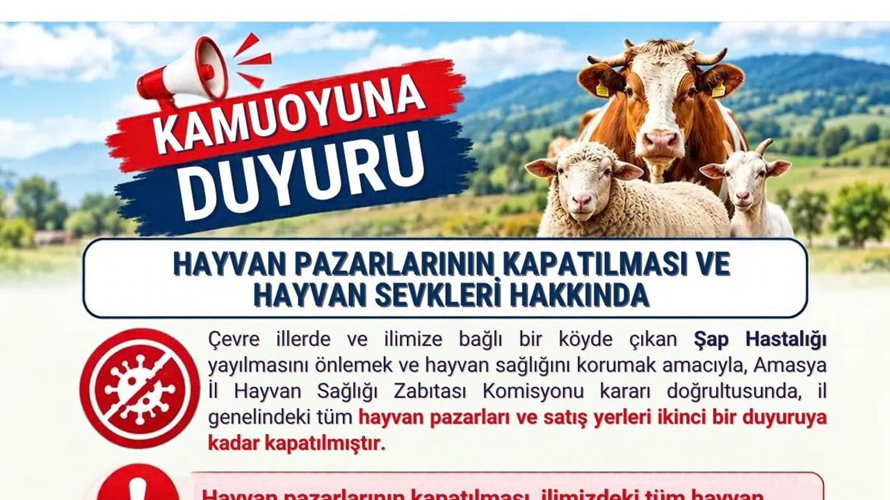 Amasya'da şap endişesi: hayvan pazarlarına geçici kapatma kararı