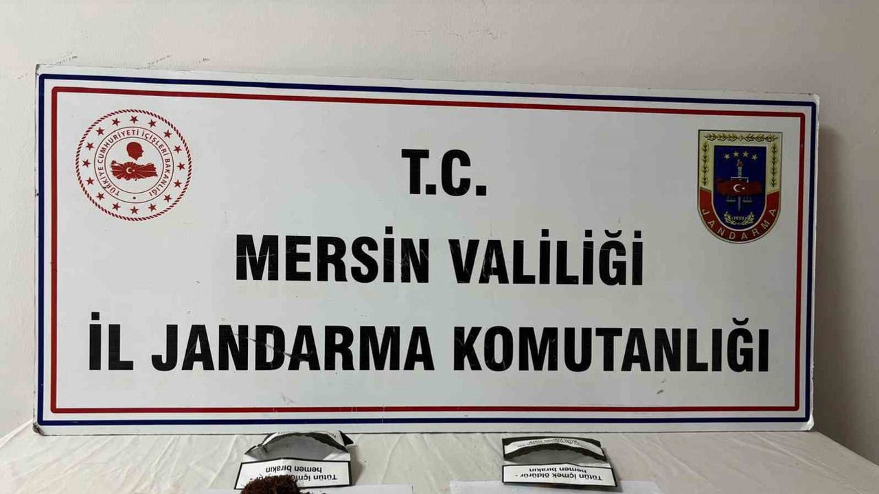 Anamur'da jandarmadan eş zamanlı baskın: 7 şüpheli adliyede