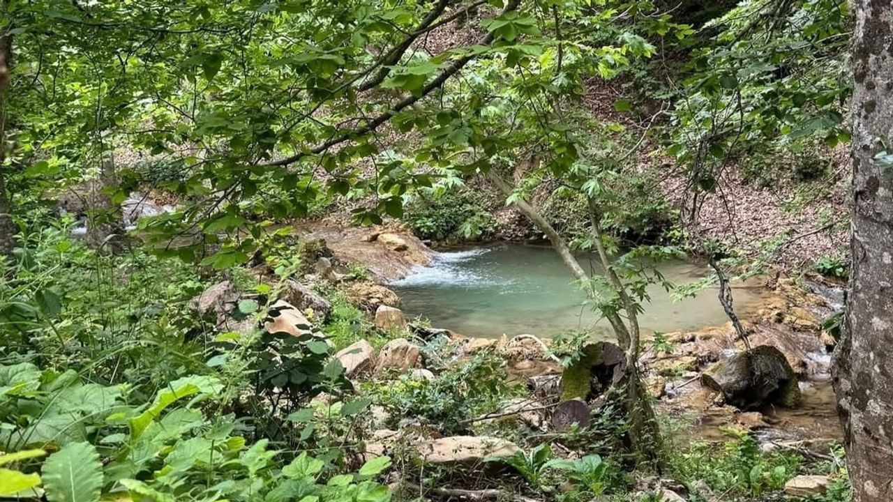 Andırın'ın doğal köşeleri: Fındıklı Dere ve Hastane Pınarı