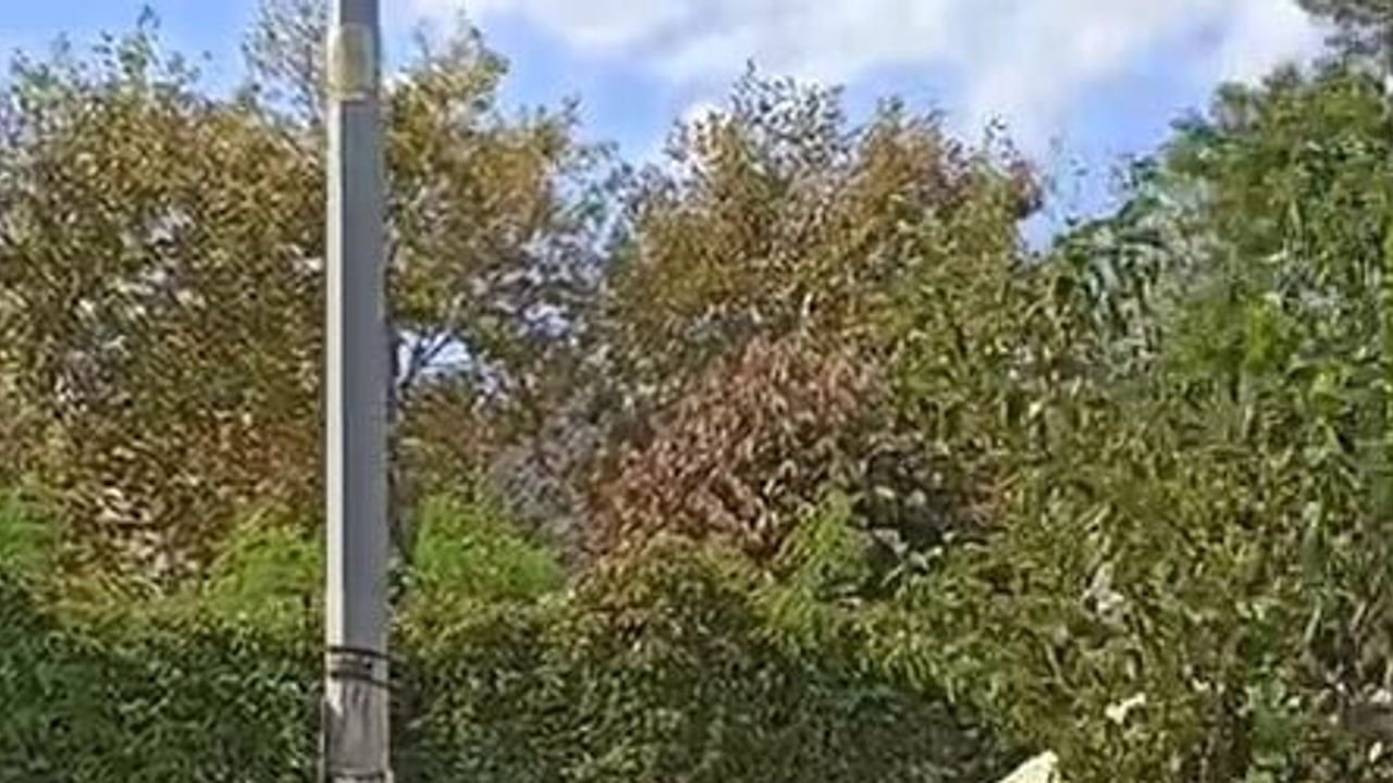 Antakya’da motorize polisin motosiklet müdahalesi: bilinci kapanan bebek hastaneye yetiştirildi