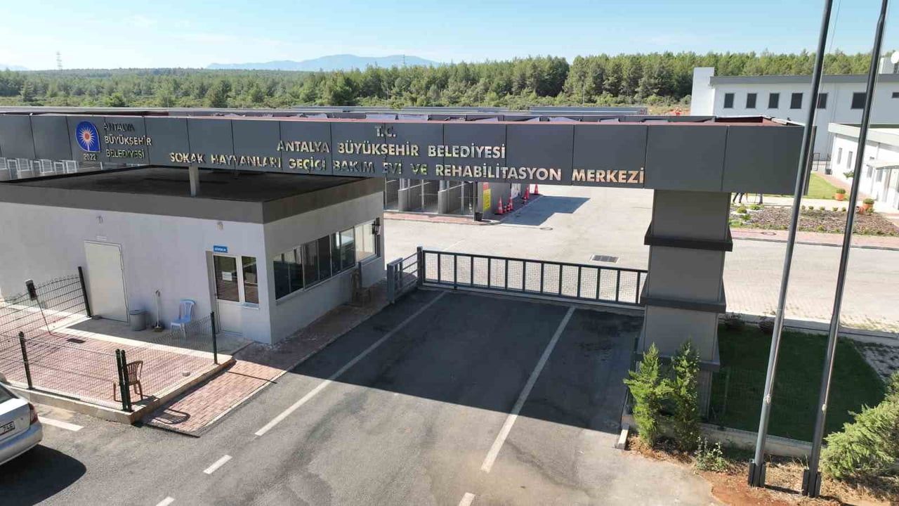 Antalya'da 84 bin metrekarelik can dost yaşam alanı