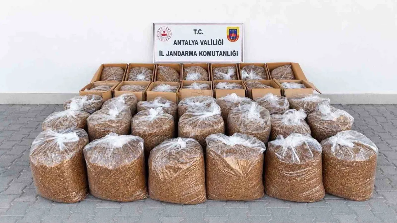 Antalya'da jandarmanın eş zamanlı operasyonunda 1 ton 75 kilogram tütün ve 10 bin 80 makaron ele geçirildi