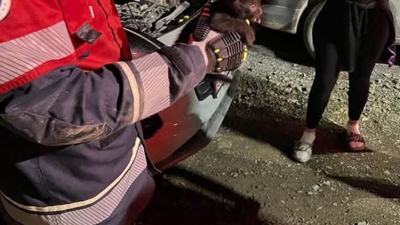 Araç motoruna sıkışan yavru kedi itfaiye ekiplerince sağ kurtarıldı
