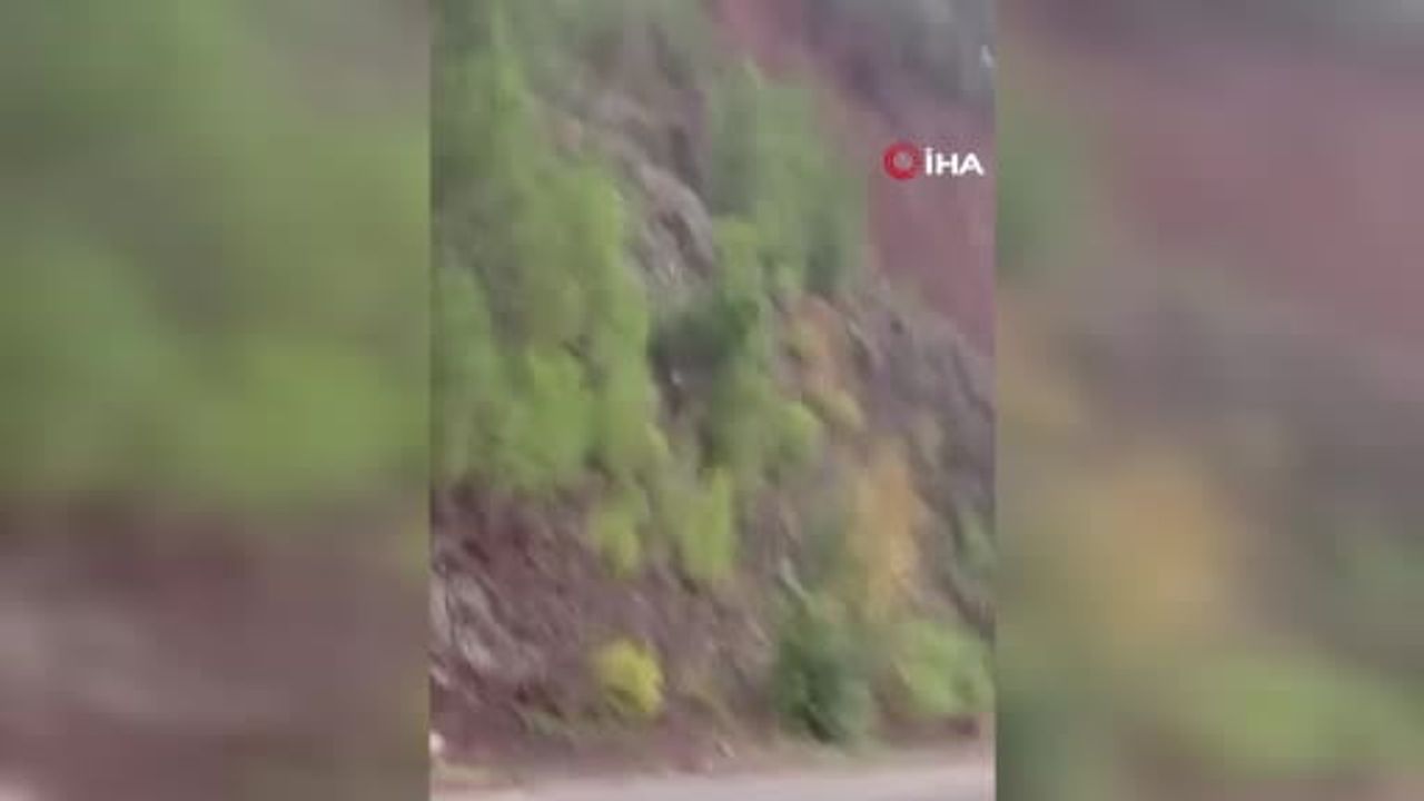 Armutlu'da Çamlık alanda yağışın tetiklediği heyelan kameraya yansıdı