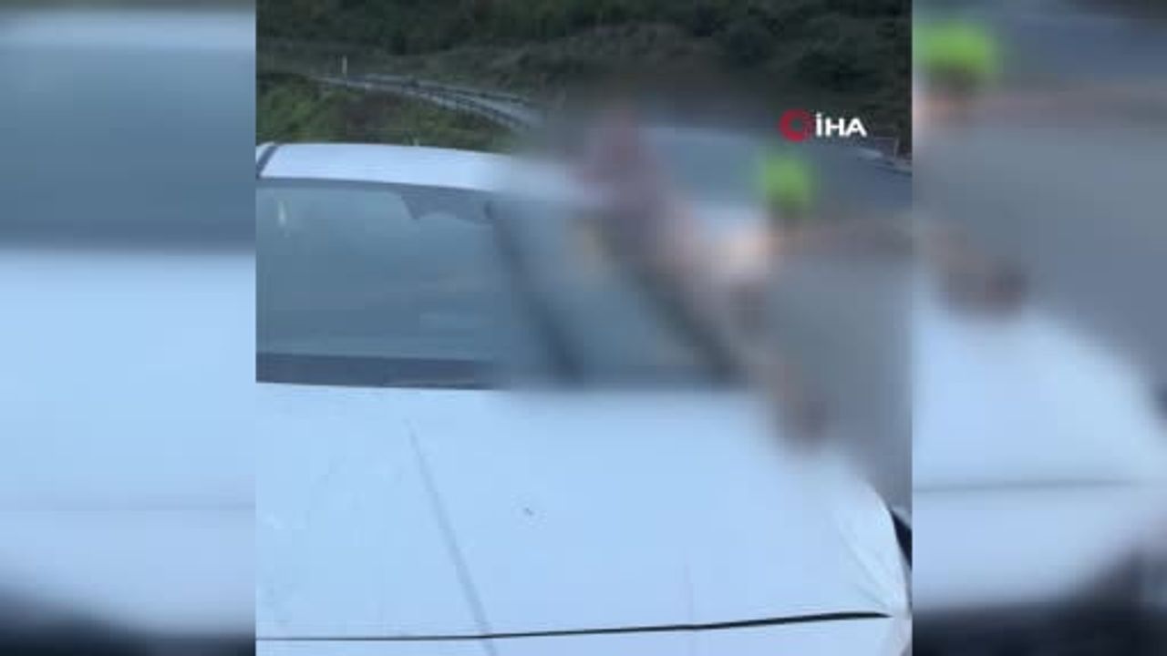 Arnavutköy'de virajda kontrolün kaybolduğu kaza: at telef oldu, üç kişi yaralandı