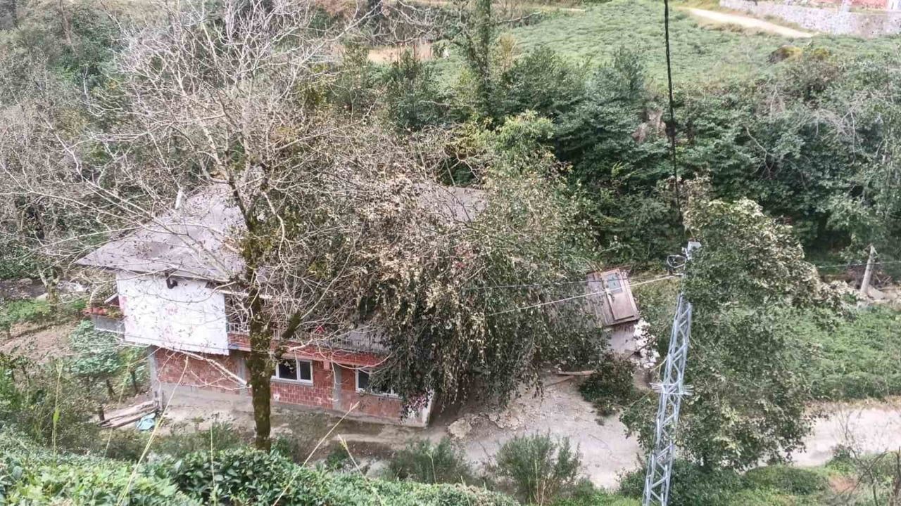 Artvin'de rüzgârın yol açtığı hasar: üç ilçede ağaçlar, hatlar ve araçlar zarar gördü