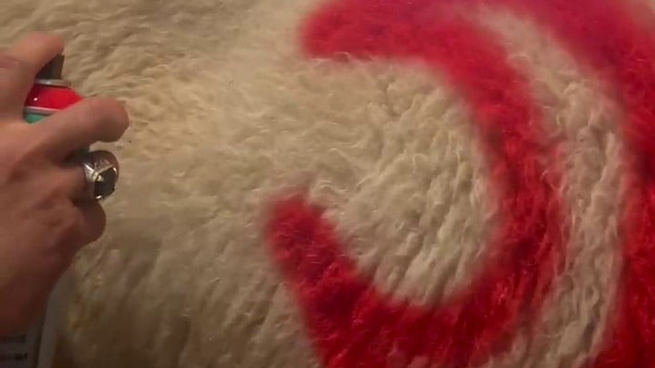 Asırlık koç katımı Mahken köyünde yaşatılıyor
