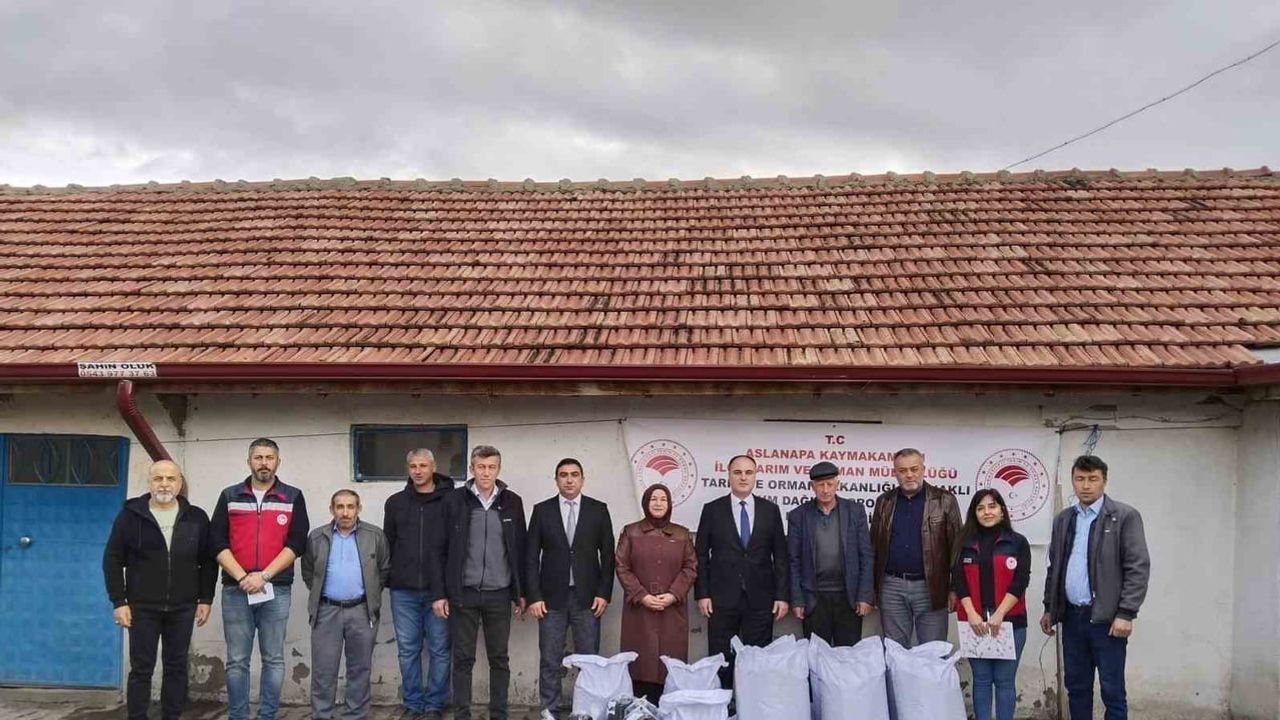 Aslanapa'da üretime çeşitlilik: 8 üreticiye yüzde 50 hibeli çörekotu tohumu