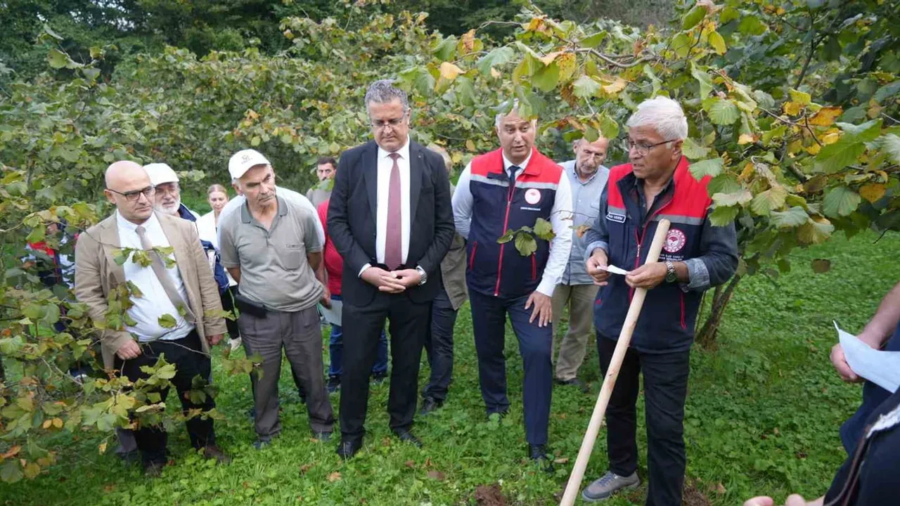 Atakum'da FINDEK örnek bahçeleriyle fındıkta verim ve maliyet odaklı dönüşüm