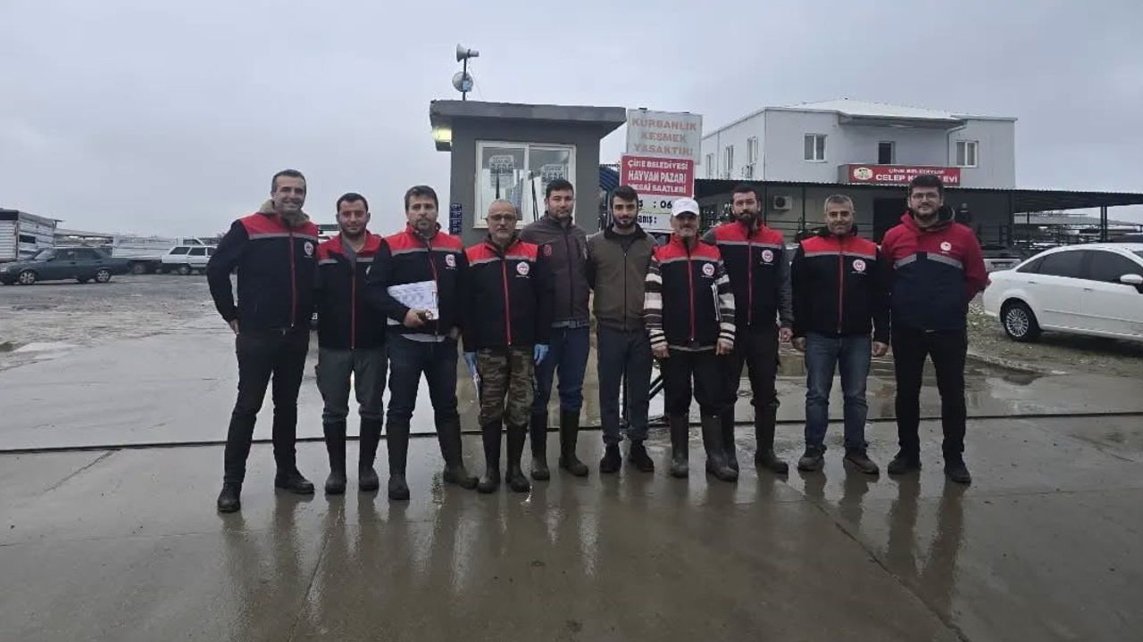Aydın'da kayıtsız hayvana pazar yolu kapandı