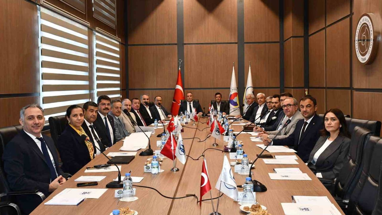 Aydın'da zeytin sektörü ihracat için ortak adım attı