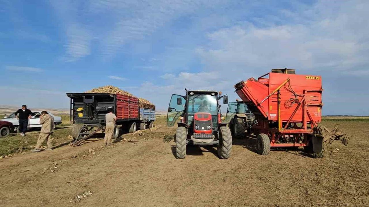 Baba mesleğini sürdüren Muşlu çiftçi 220 dönümden 2 bin ton bekliyor