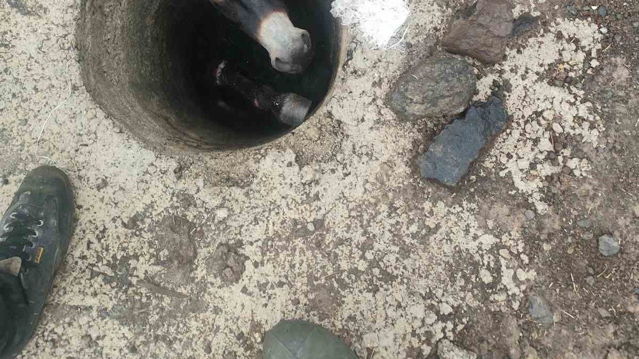 Bahçecik'te itfaiyenin müdahalesiyle kuyudan çıkarılan eşek sahibine teslim edildi