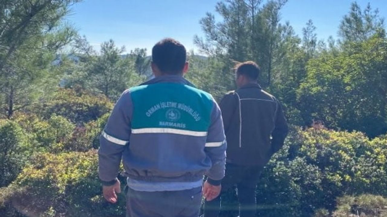 Balan Dağı'nda üç yıl sonra iz arayışı: İsa Çifçi için kapsamlı arama başlıyor