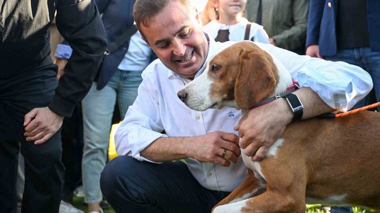 Balıkesir'de can dostlar için birlik ve sahiplendirme buluşması