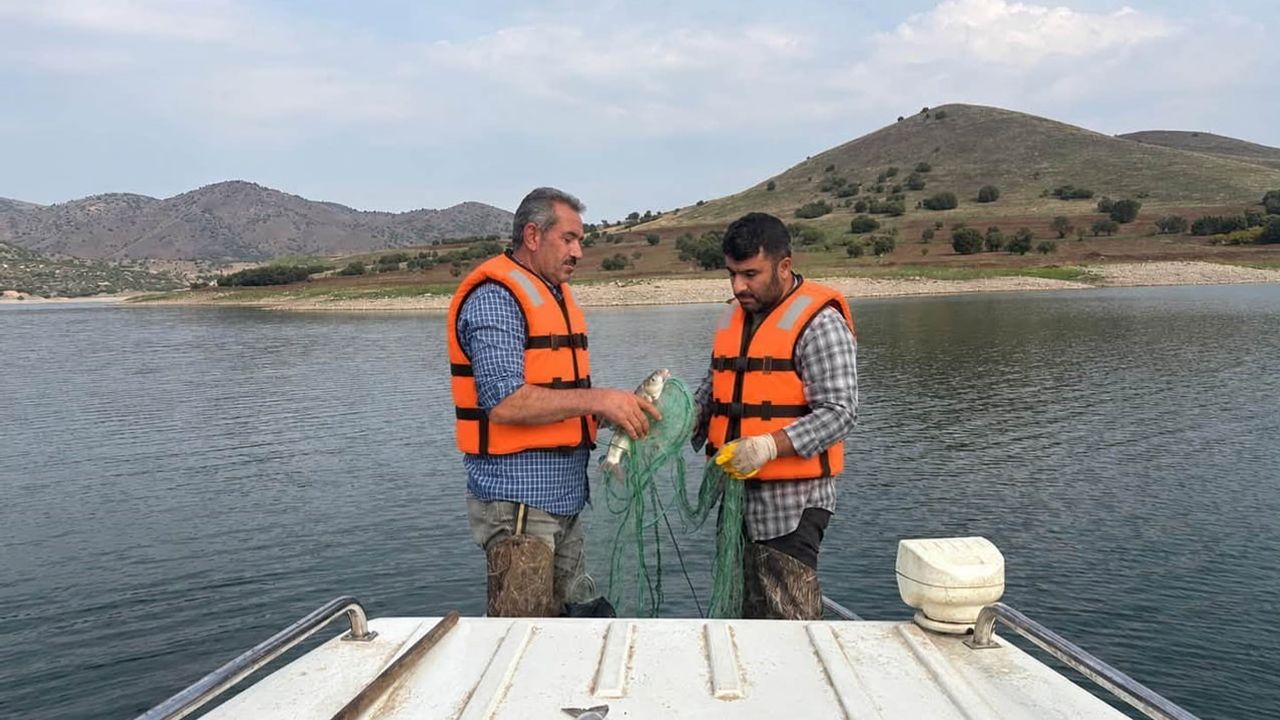 Baraj göllerinde istilacı türlere yönelik kapsamlı örnekleme sürüyor
