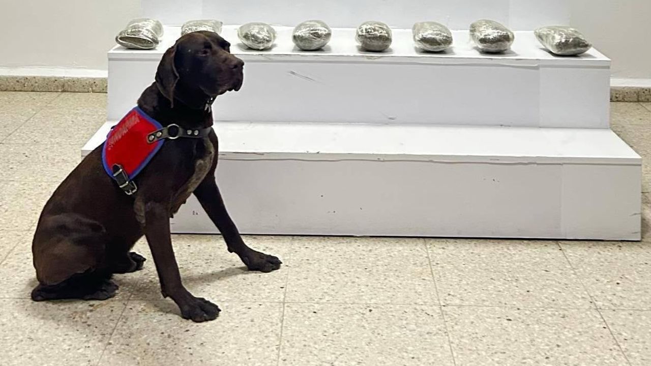Başkale'de devriye sırasında araçta 10 kilo 111 gram toz esrar ele geçirildi