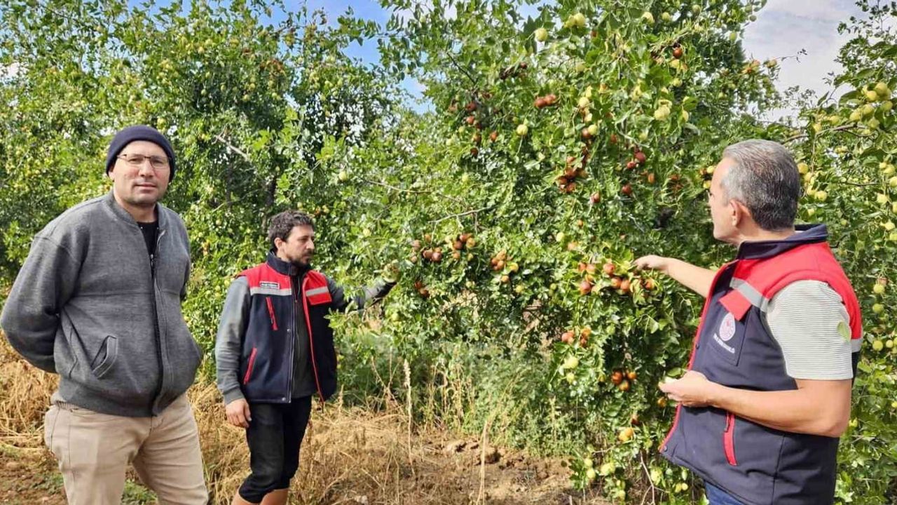Başmakçı'da hünnapla yeni bir tarım rotası çiziliyor