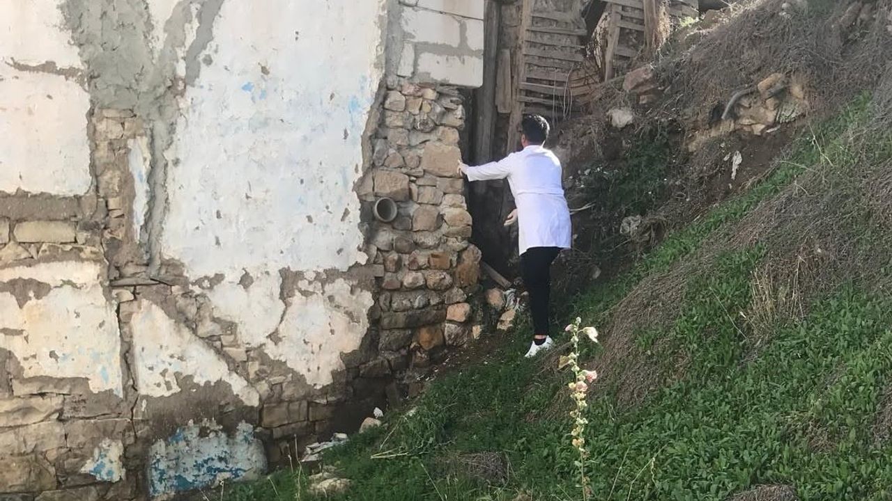 Bayburt'ta kışlaklara yönelen böcek ve kemirgenlere karşı önleyici ilaçlama