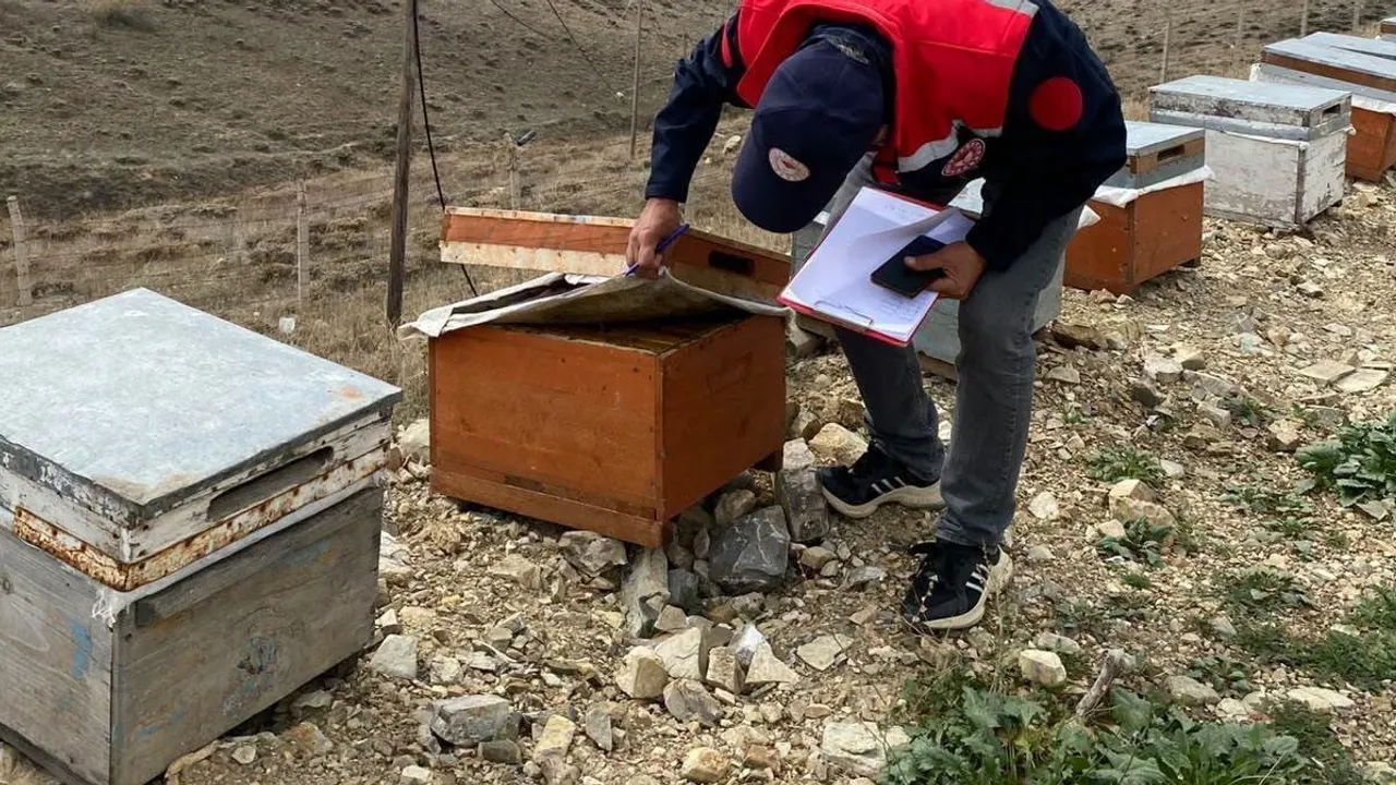 Bayburt'ta kovan tespit ekipleri arıcılığa destek için sahada
