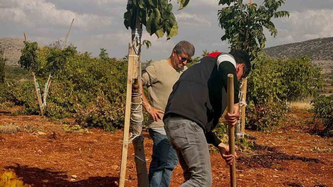 Bekilli üreticileri toprak analiziyle verim artışına hazırlanıyor