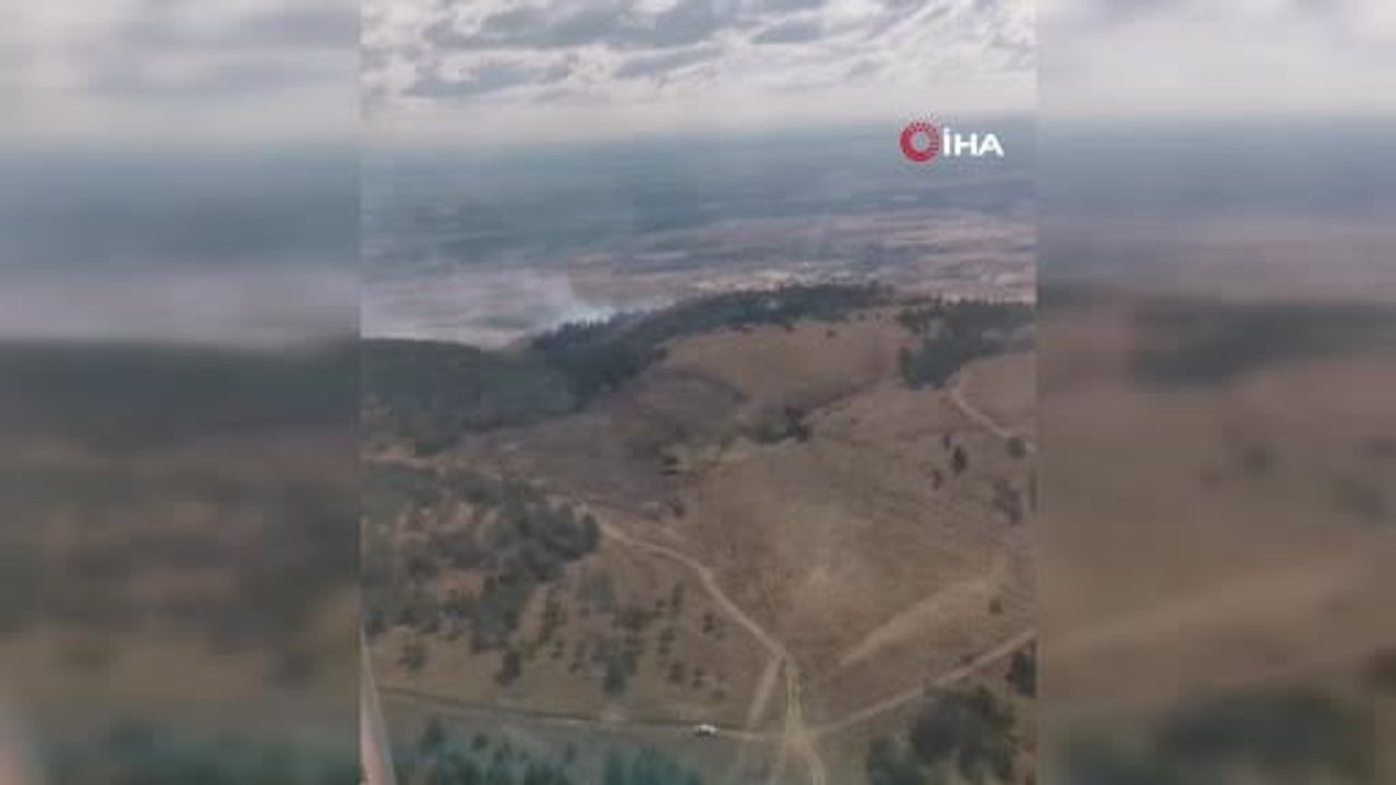 Bektaşpınarı'nda orman yangını hızlı müdahale sonucu söndürüldü