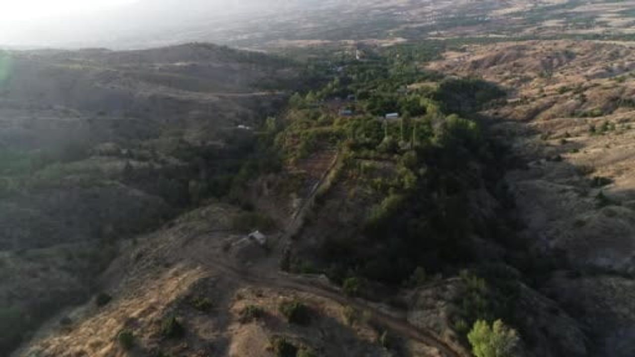 Beş dönümlük dağ arazisini tıbbi aromatik bahçeye dönüştüren öğretmen
